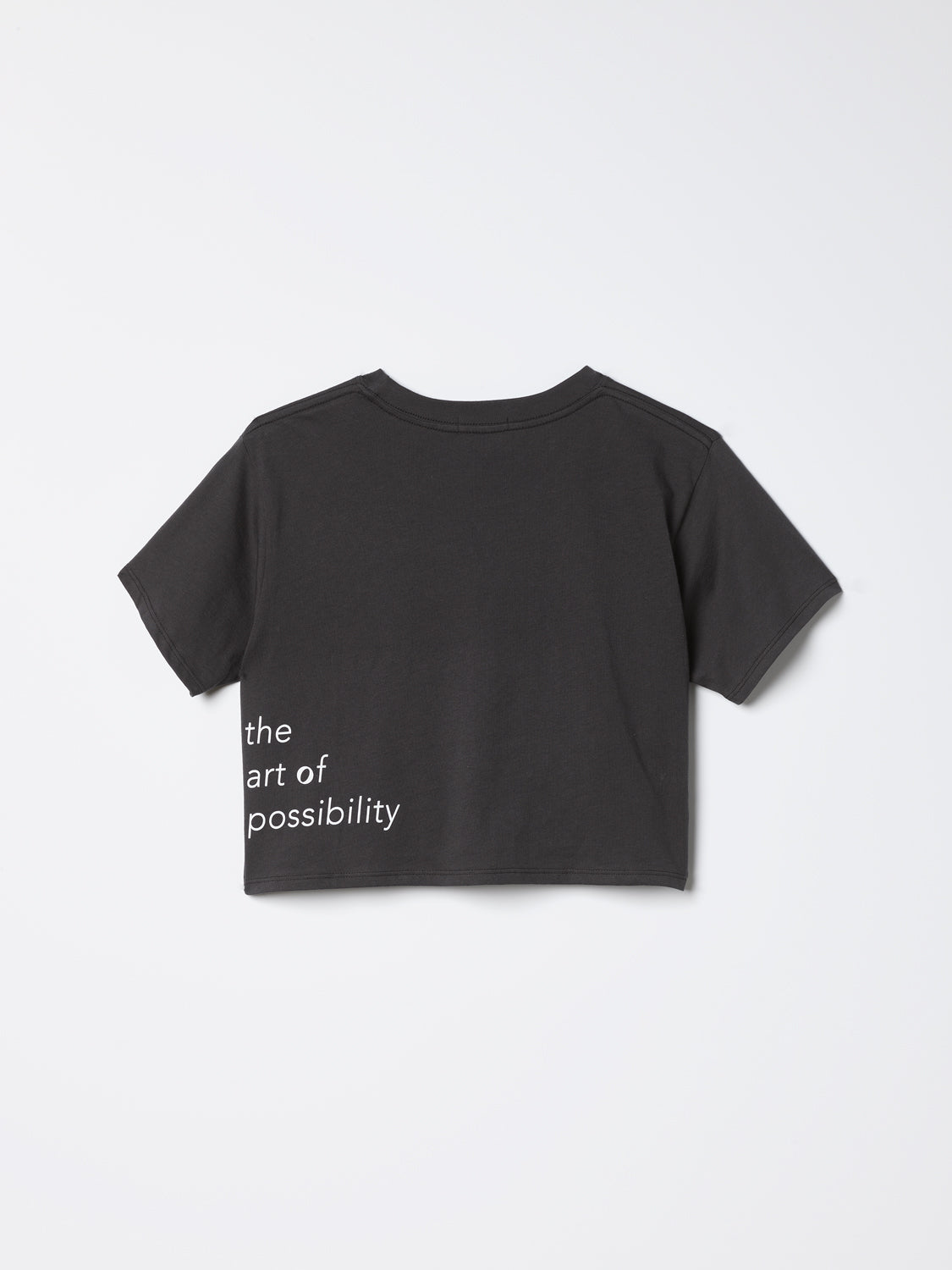 Camiseta corta