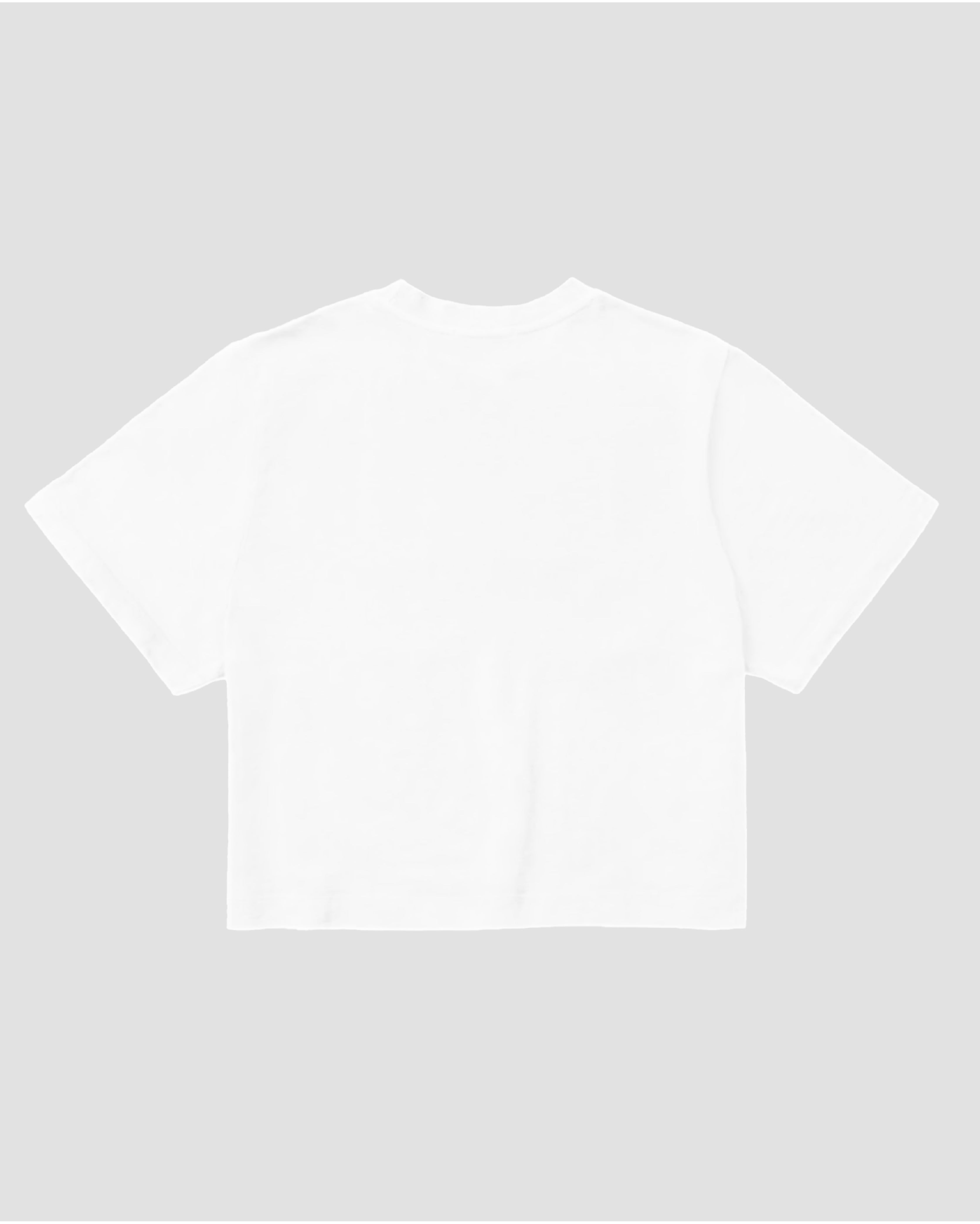 2025 Nationals Crop Tee