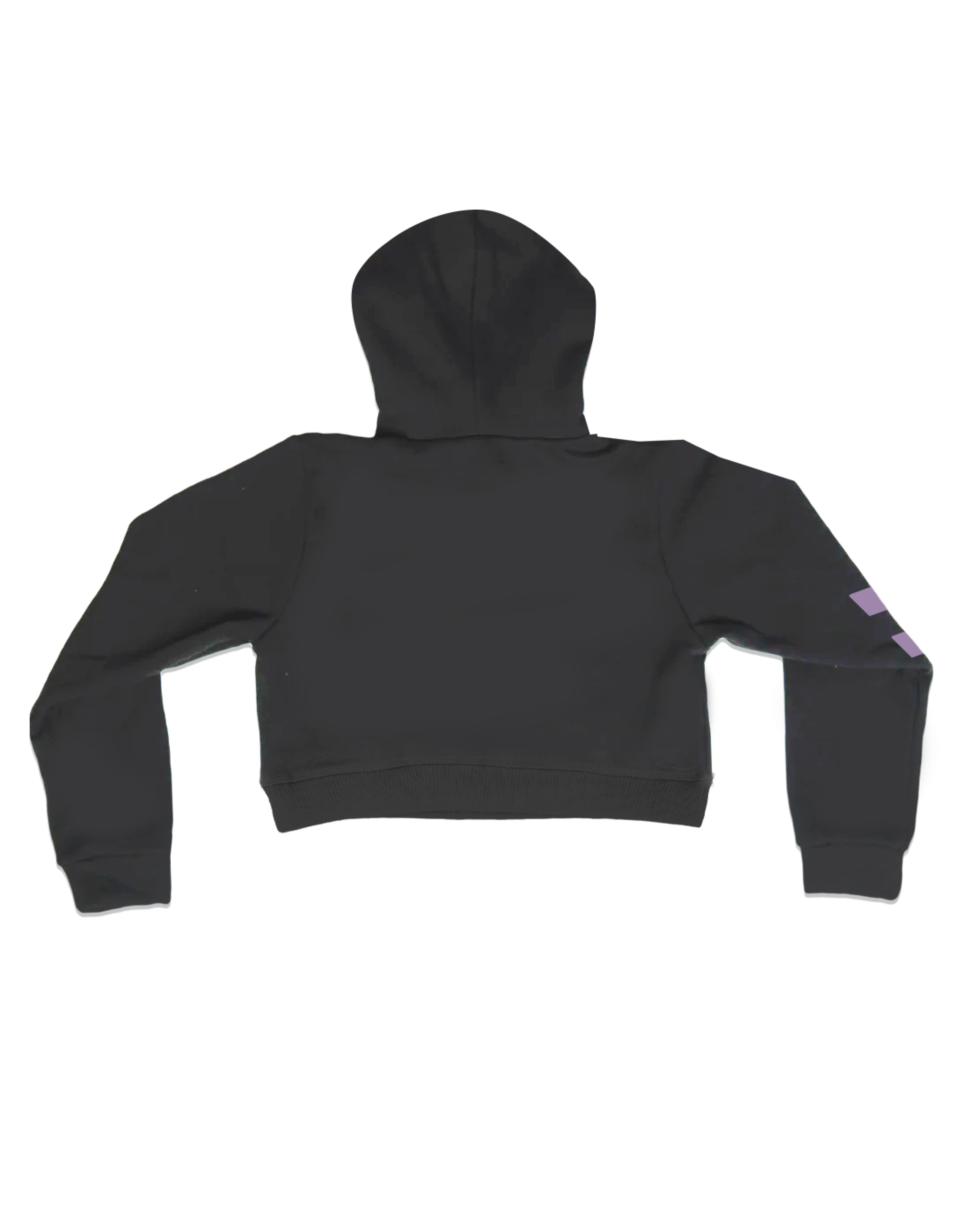 2025 Crop Hoodie