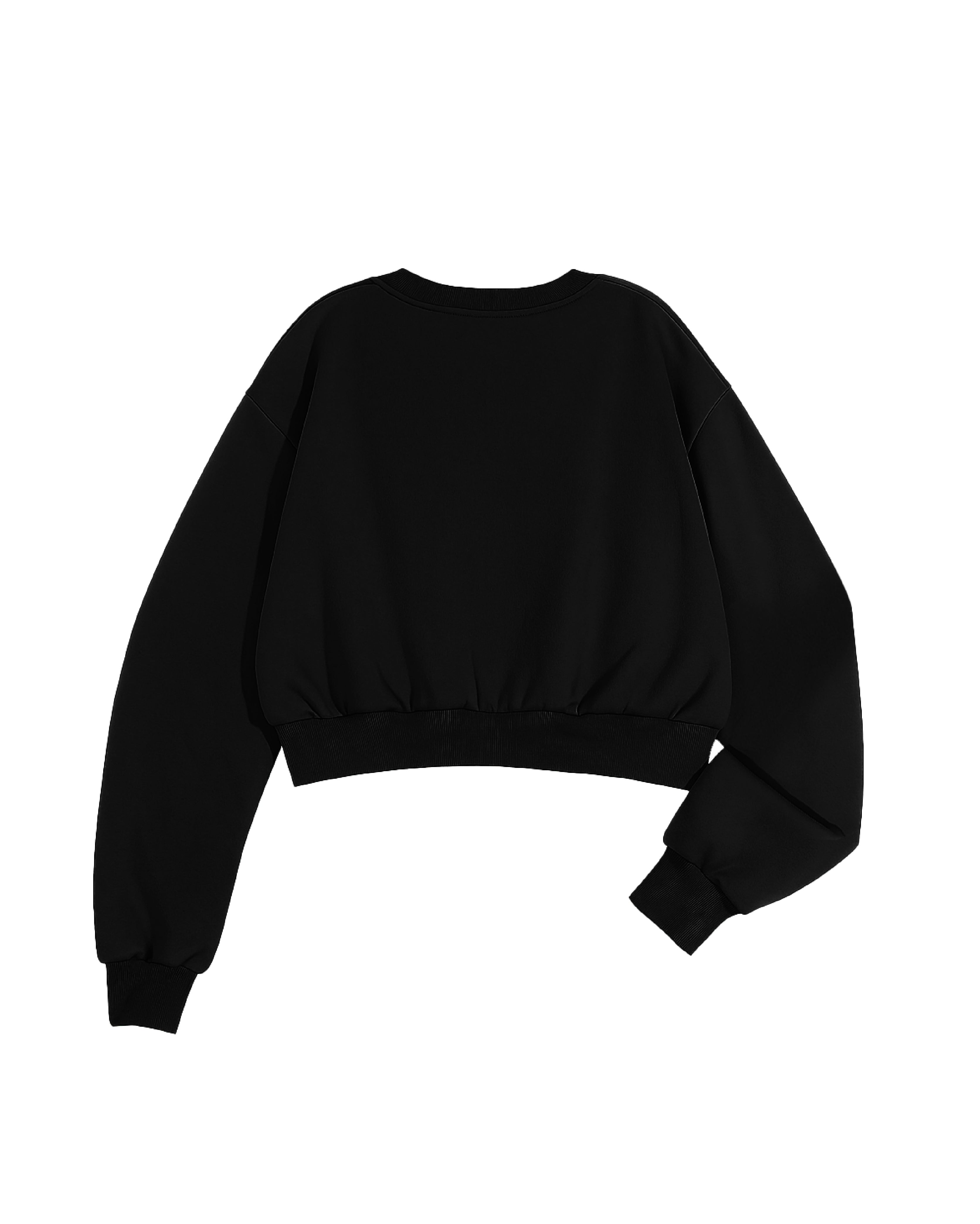 2026 Crop Crewneck